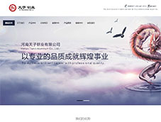 XI޹˾
